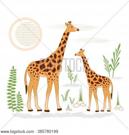 Vector Illustration Of Two Giraffes In The Wild Among Plants Under The Sun.