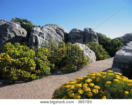 Garden1med