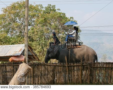 19 January 2020, Elephant Farm Kariang Roum Mit In The North Of Thailand, Chiang Rai. Thailand