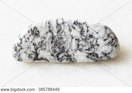 Closeup Of Sample Of Natural Mineral From Geological Collection - Polished Magnesite Rock On White M