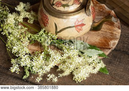 Fresh Meadowsweet Flowers - A Natural Alternative To Aspirin, With A Teapot
