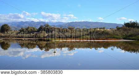Landscape Reflected In The Water, Charca Of Maspalomas, South Of Gran Canaria, Canary Islands