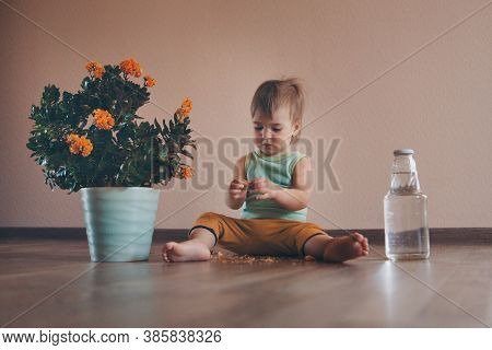 A Small Child Is Sitting On The Floor Next To A Large Flower In A Pot And Buttle With Water. Girl Ri
