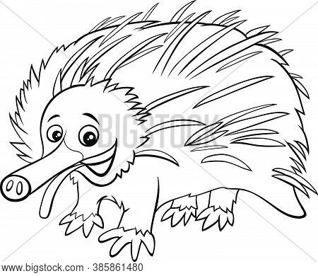 Black And White Cartoon Illustration Of Echidna Wild Animal Character Coloring Book Page