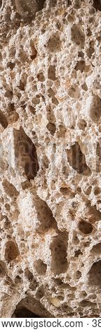 Fresh Whole Grain Seeded Bread, Organic Wheat Flour, Closeup Slice Texture As Background For Food Bl