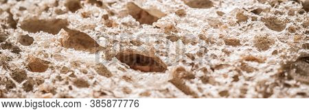 Fresh Whole Grain Seeded Bread, Organic Wheat Flour, Closeup Slice Texture As Background For Food Bl