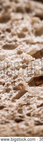 Fresh Whole Grain Seeded Bread, Organic Wheat Flour, Closeup Slice Texture As Background For Food Bl