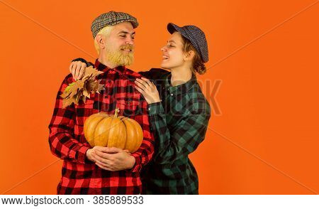 Work At Fields. Harvest Festival. Farmers Market. Autumn Mood. Fall Season. Autumn Leaves. Farmer Fa