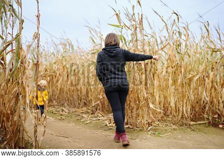 Back View Of Family Walking Among The Dried Corn Stalks In A Corn Maze. Little Boy And His Mother Ha