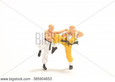 The Mini Of Figure Kungfu Fighting The Mini Of Figure Kungfu Fighting