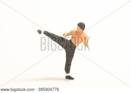 The Mini Of Figure Kungfu Fighting The Mini Of Figure Kungfu Fighting