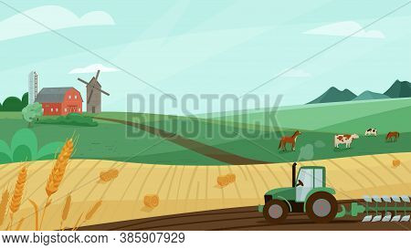 Farm Landscape Vector Illustration With Green Meadow, Wheat Field, Tractor Cultivate Earth. Nature S