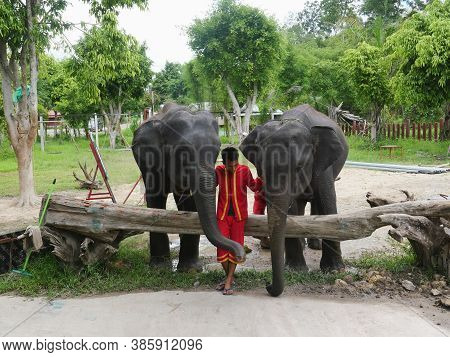 28 June 2020, Elephant Farm Kariang Roum Mit In The North Of Thailand, Chiang Rai. Thailand