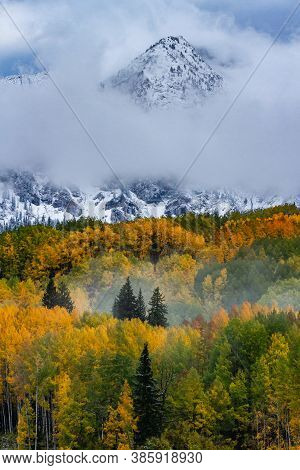 Kebler Pass In Autumn. Golden Leaves Of Aspen Trees In The Beautiful Rocky Mountains Of Colorado.