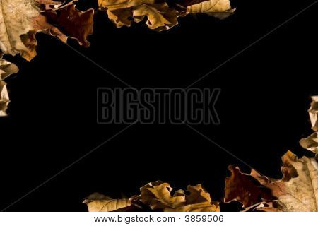Halloween-Serie auf schwarz
