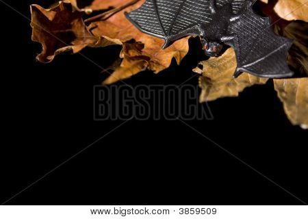Halloween-Serie auf schwarz