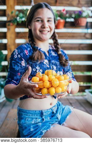The Girl Holds Plucked Yellow Plums In Her Hands. Harvest Fresh Plucked Fruits, Ripe Plums. Hobbies,