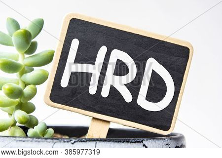 Small Black Chalk Board In A Pot With Succulents Inscribed In White Letters Word Hrd Human Resource 