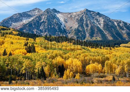 Kebler Pass. Golden Leaves Of Aspen Trees In The Beautiful Rocky Mountains Of Colorado.
