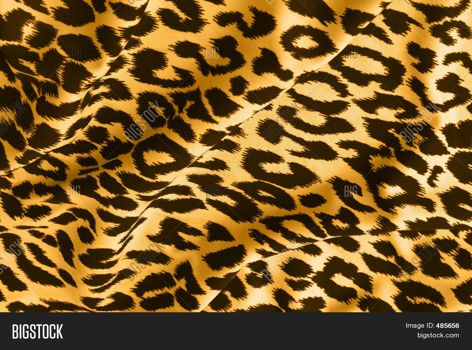 Animal Print On Fabric Image & Photo (Free Trial) | Bigstock