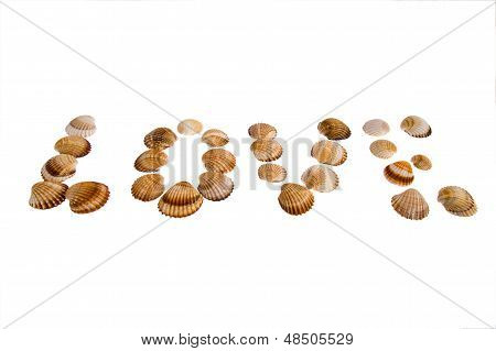 Isolated Love Text From Shell