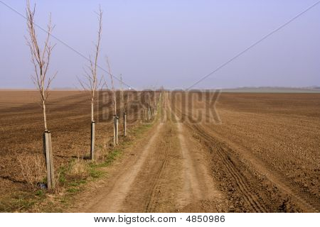 Chemin du retour
