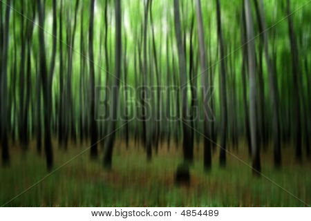 Deep Forest