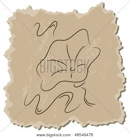 Convolvolo