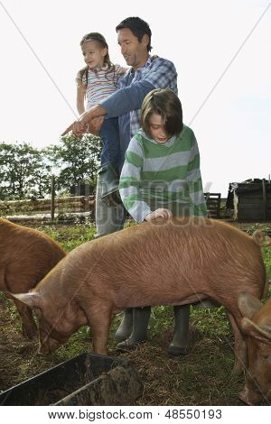 Voller Länge eines Mannes und Kinder beobachten Schweine im Stall gegen clear Sky feed