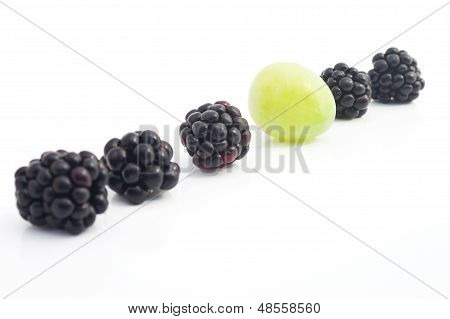 แถว Dewberries และองุ่นเป็น