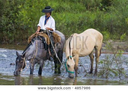 Gaucho Festival