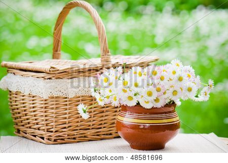 A Bouquet Of Daisies In A Pot On The Table For A Picnic