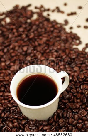 Coffee Beans