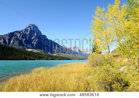 Waterfowl Lake In Autumn,canadian Rockies,canada