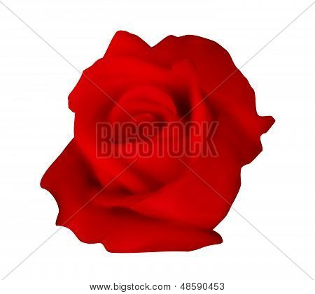 Una rosa rossa morbida e bella