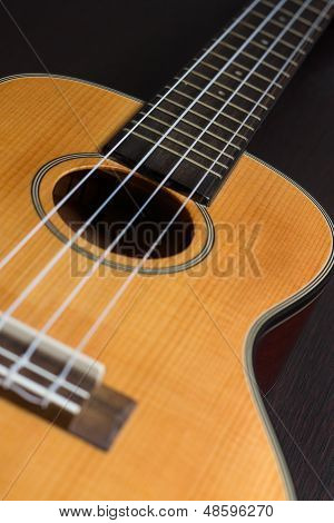 Ukulele Hawaii Guitar