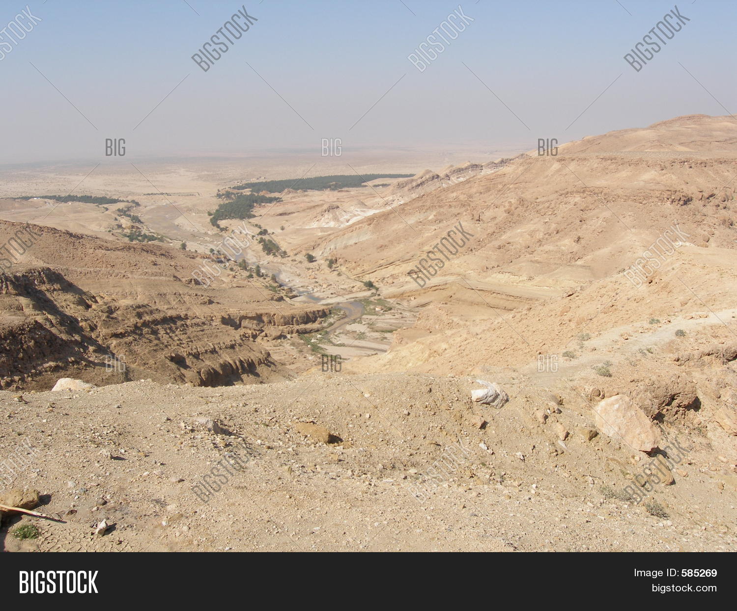 Image Preview