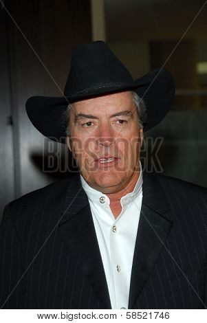 BEVERLY HILLS - AUGUST 12: Powers Boothe at the 24th Annual Golden Boot Awards on August 12, 2006 at Beverly Hilton Hotel in Beverly Hills, CA.