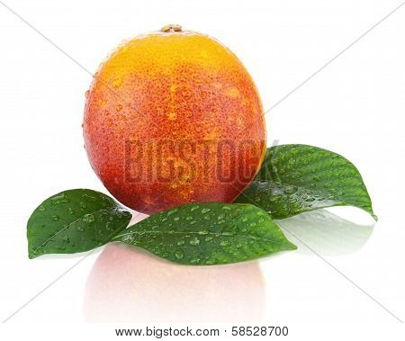 Ripe Red Blood Oranges With Green Leaves Isolated On White Background.