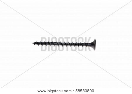 Wood Screw