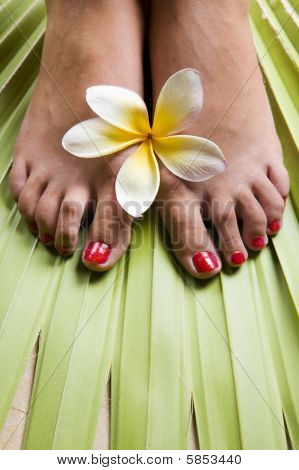 Footspa tropical
