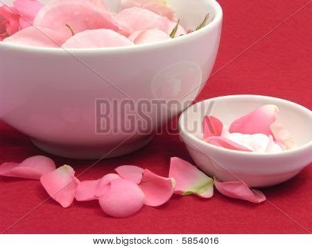Rose Rosa e crema In ciotole bianche della porcellana su sfondo rosso