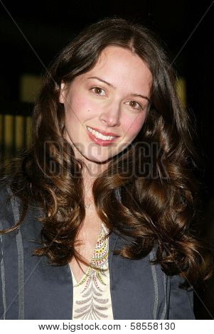 HOLLYWOOD - APRIL 10: Amy Acker at the Los Angeles Premiere of 