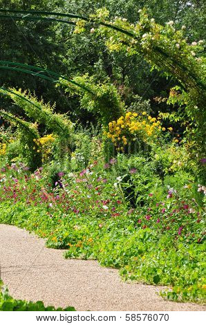 The garden of the famous Painter Claude Monet