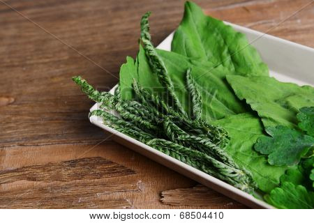 Medicinal herbs on table close-up