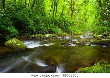 Cascades In The Oconaluftee River, At Great Smoky Mountains National Park, North Carolina.