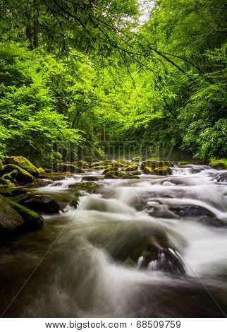 Cascades In The Oconaluftee River, At Great Smoky Mountains National Park, North Carolina.