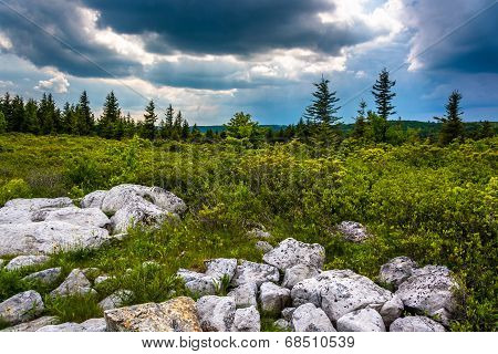 Storm Clouds Over Bear Rocks Preserve, Monongahela National Forest, West Virginia.