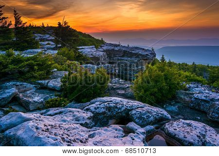Sunrise At Bear Rocks Preserve, In Dolly  Sods Wilderness, Monongahela National Forest, West Virgini
