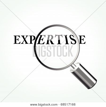 Vector Expertise Concept